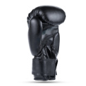 Juniorské boxerské rukavice DBX BUSHIDO ARB-407v5 6 oz.