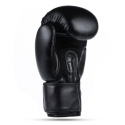 Boxerské rukavice DBX BUSHIDO ARB-Black