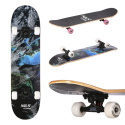 Skateboard NILS Extreme CR3108SA Forest