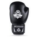 Boxerské rukavice DBX BUSHIDO ARB-Black