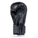 Juniorské boxerské rukavice DBX BUSHIDO ARB-407v5 6 oz.